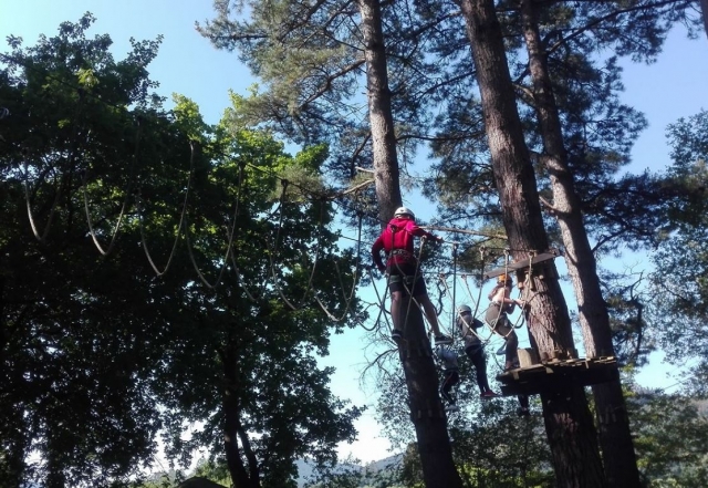 Puente de cuerdas hasta el arbol